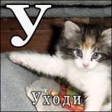 Аватара пользователя