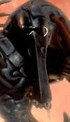 1e3a01302f3022.gif