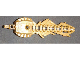 bion015c01.gif