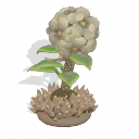 .png