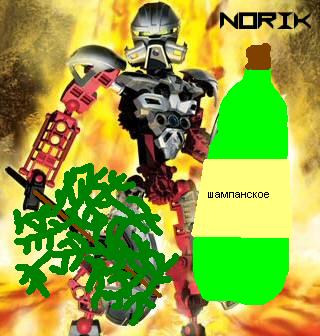  норик.jpg