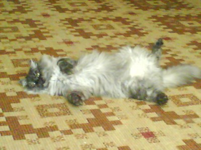 DSC01006.JPG