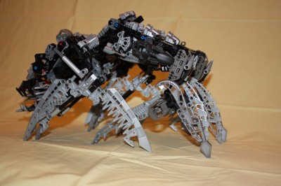 300 095.jpg