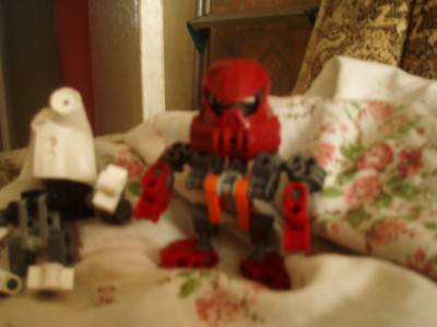 P1010201.jpg