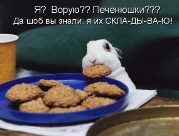 .jpg