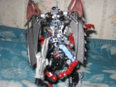 005.jpg