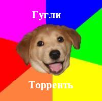 Advice Dog 1.JPG