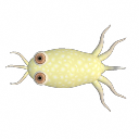 .png