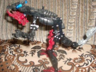 333.jpg