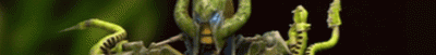 Vastus_Film_Banner.gif