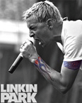 lp.gif