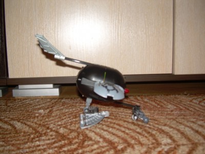 DSCN7555.JPG