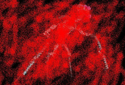 8694-0000-xx-13-1.jpg