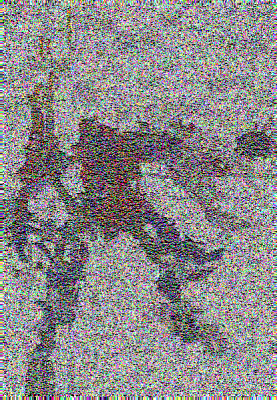 ..png