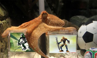 .jpg