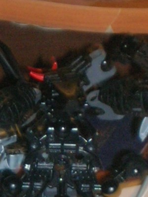 RSCN4230.JPG