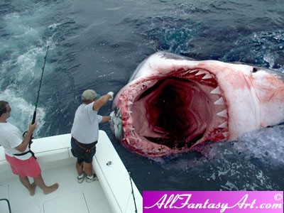 megalodon.jpg