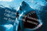 -1.png