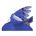.png