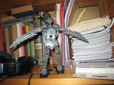  новый год 2008 003.jpg