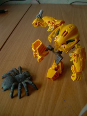 DSCN5270.JPG