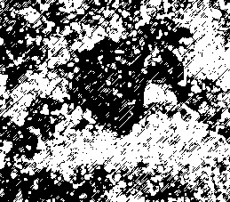 k.jpg