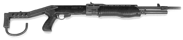 Spas12.jpg
