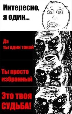 .jpg