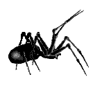b40186fe678f7212a7b6768a71371ebb.gif