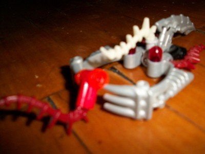 100_0480.jpg