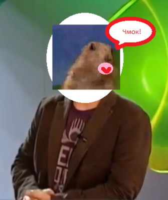 Pushnoj_smotrit.png