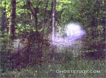 1198762602_ghtz032.jpg