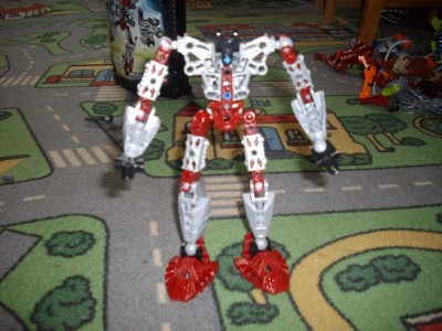tahu2.JPG