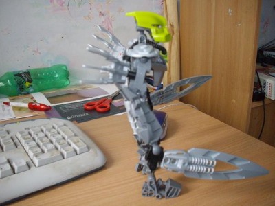 tanma (1).JPG