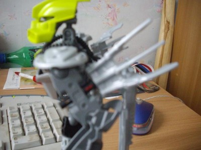 tanma (4).JPG