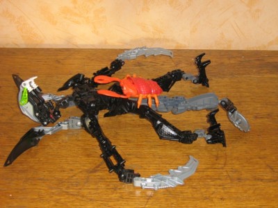 IMG_1818.jpg