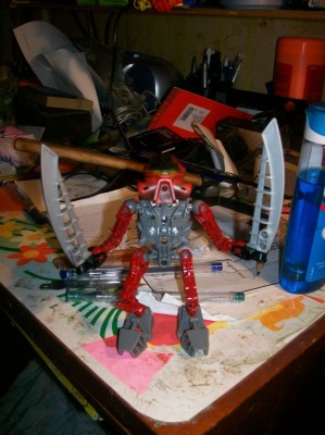 100_0799.JPG