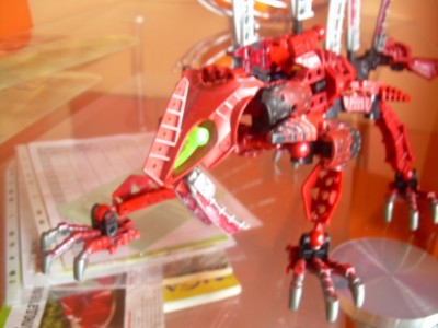 DSCN1401.JPG
