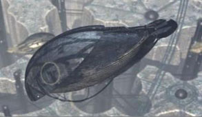 Airship
